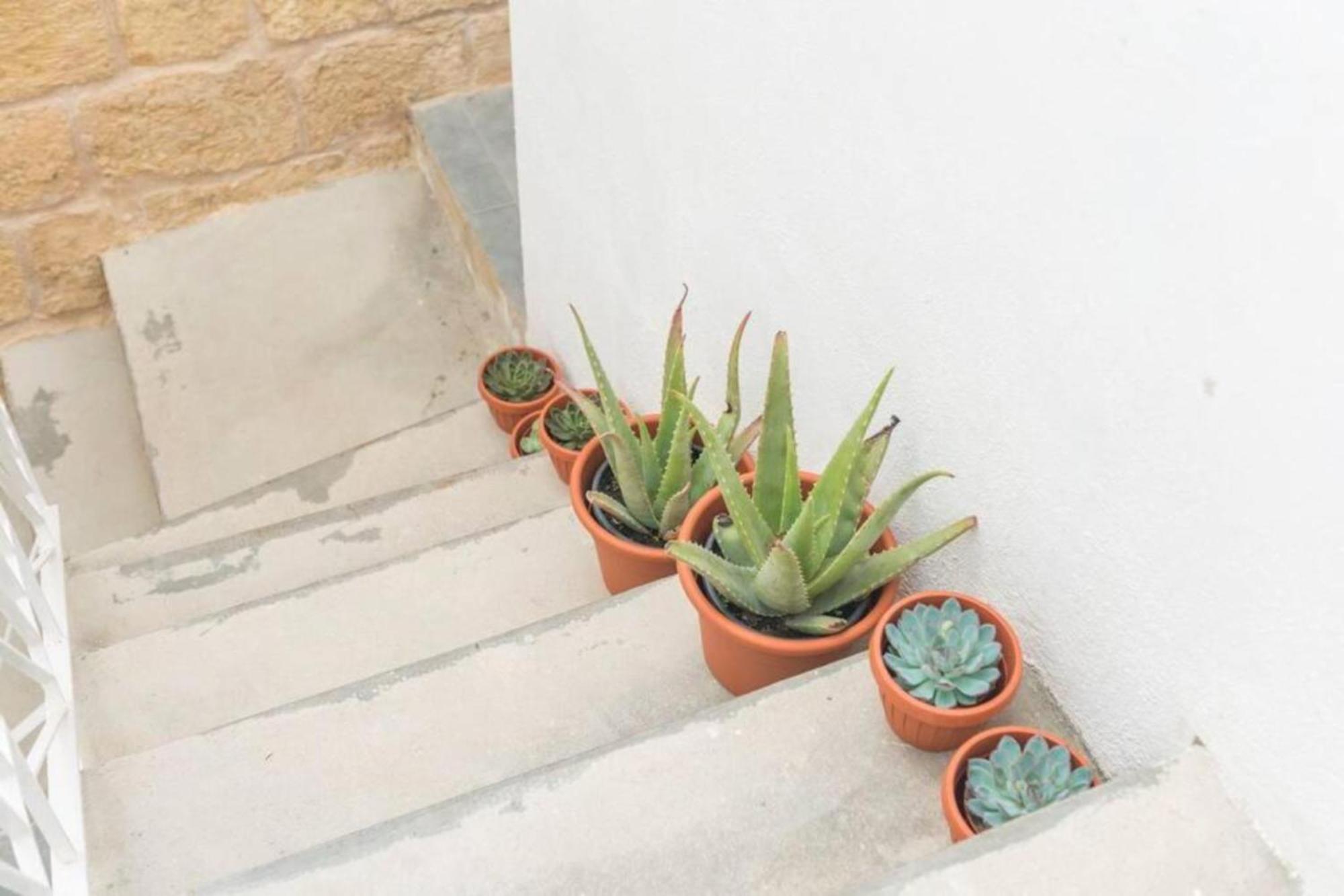 Authentic Gf Apartment With Terrace At The 3 Cities Marina Cospicua Exteriér fotografie